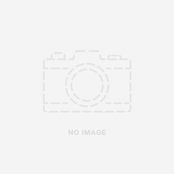 Lei Greeting at Airport Pickup